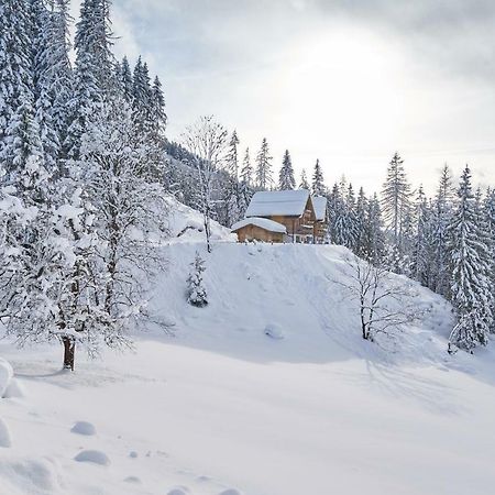 Chalets Almidylle Sankt Martin am Tennengebirge Luaran gambar