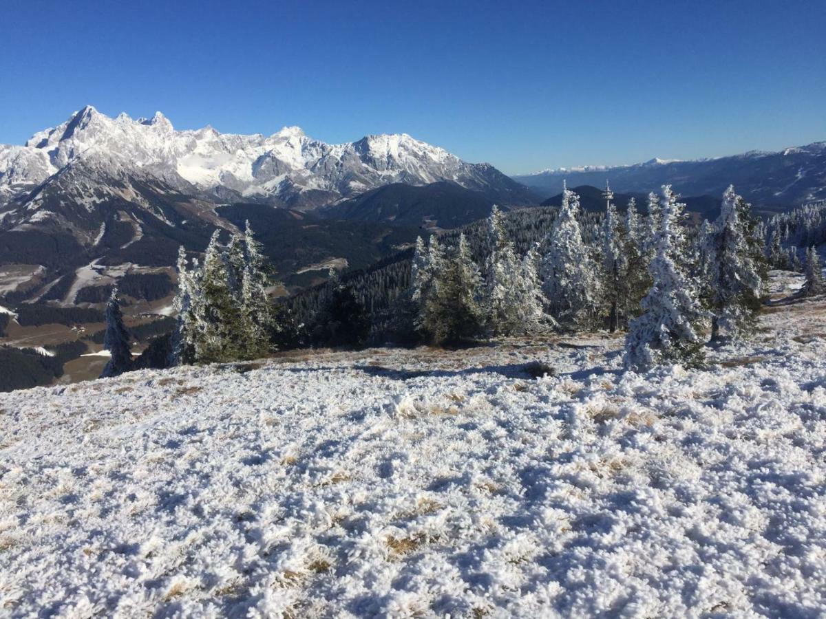 Chalets Almidylle Sankt Martin am Tennengebirge Luaran gambar